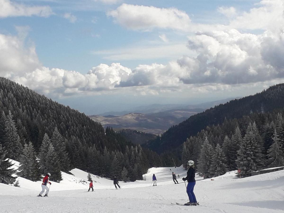 Milmari S30 Appartement Kopaonik Buitenkant foto