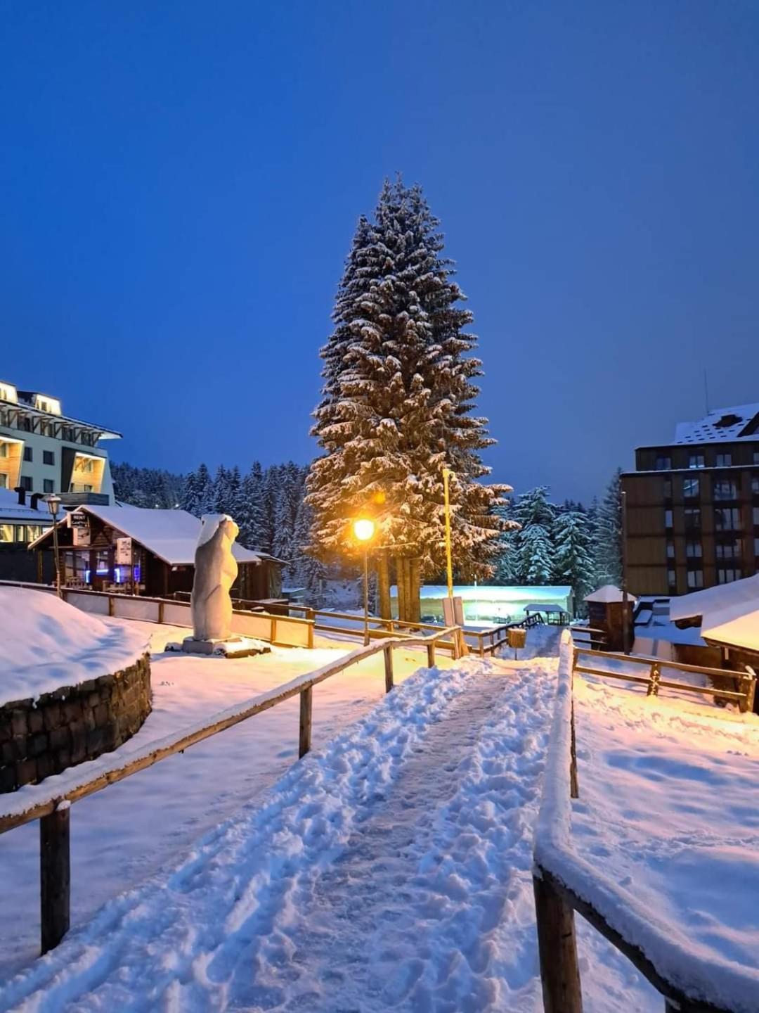 Milmari S30 Appartement Kopaonik Buitenkant foto