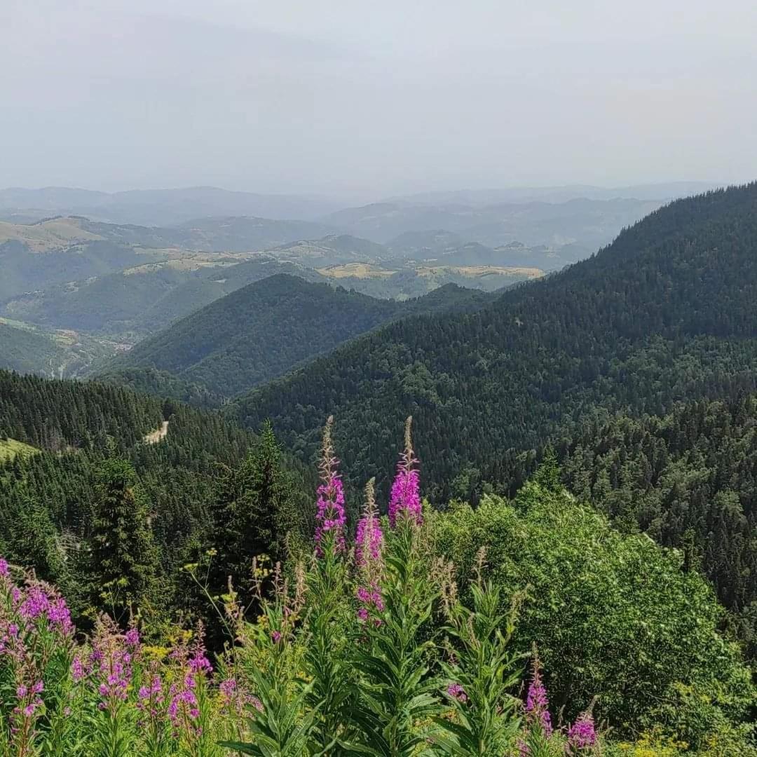Milmari S30 Appartement Kopaonik Buitenkant foto